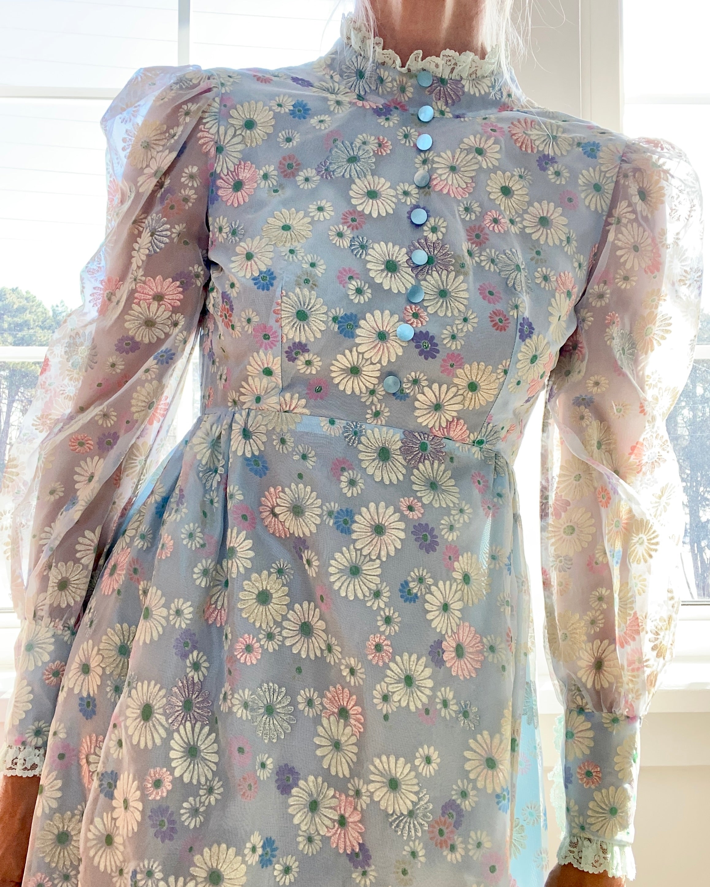 Vintage 1960s Floral Organza Prairie Victorian Inspired Dress XS or S